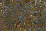 Polished El Eglab Mesosiderite Meteorite ( g) Slice #266390-1